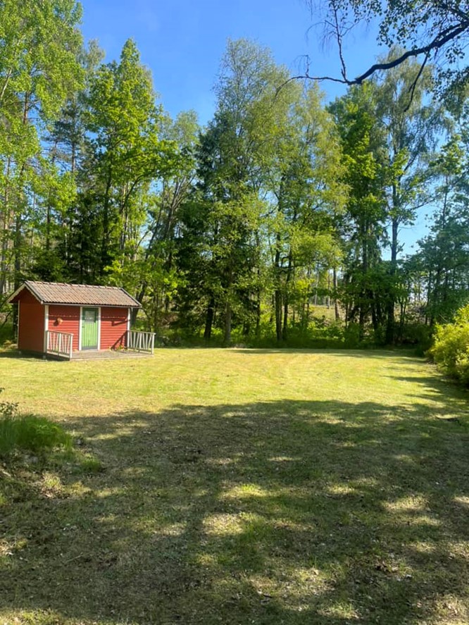 Trädgårdsunderhåll efter