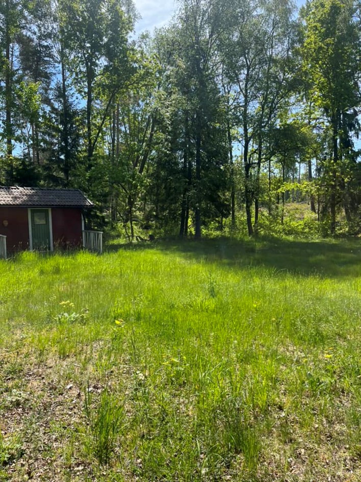 Trädgårdsunderhåll före