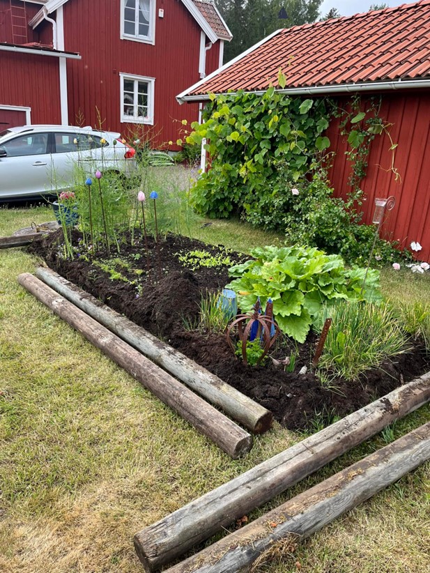 Trädgårdsbädd före