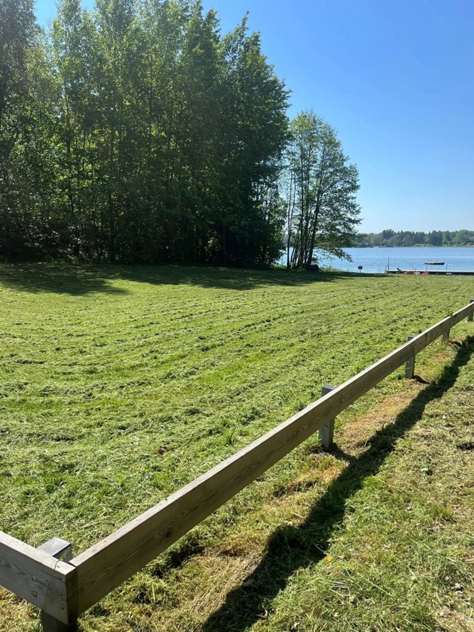 Gräsmatta efter klippning